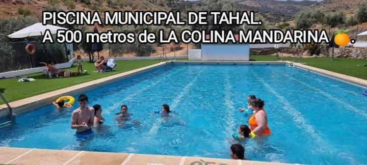 Вилла Casa La Colina Mandarina II Casa De Madera Tahal Экстерьер фото